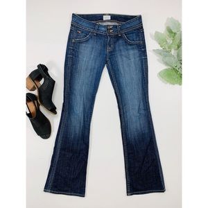 Hudson | Elm 9187 Shade D Petite Bootcut Jeans